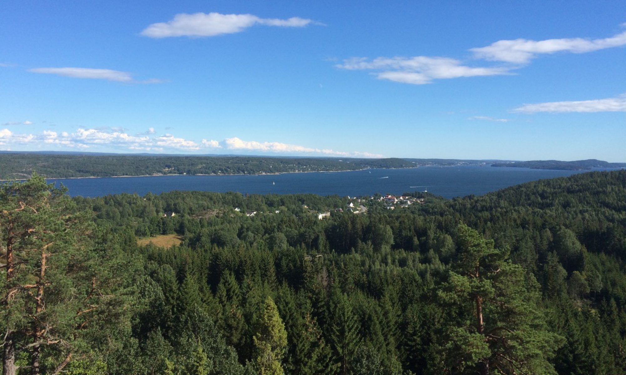 Husebykollen mot Oslofjorden